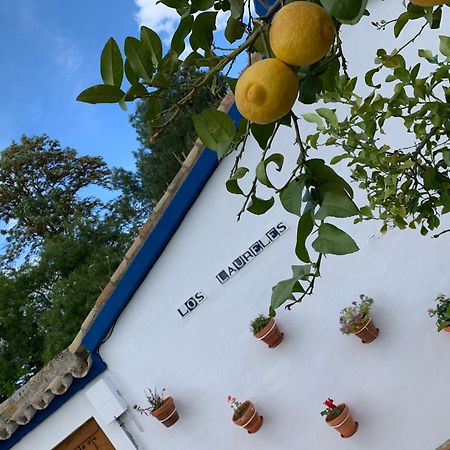Casa Los Laureles Pilas Dış mekan fotoğraf