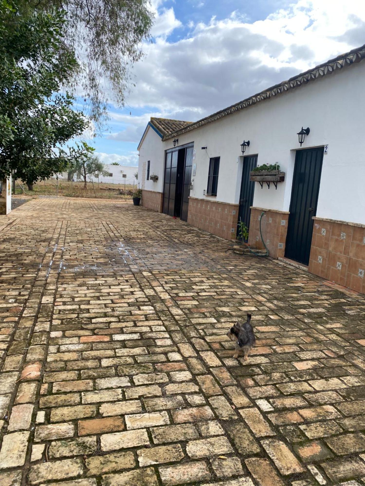 Casa Los Laureles Pilas Dış mekan fotoğraf