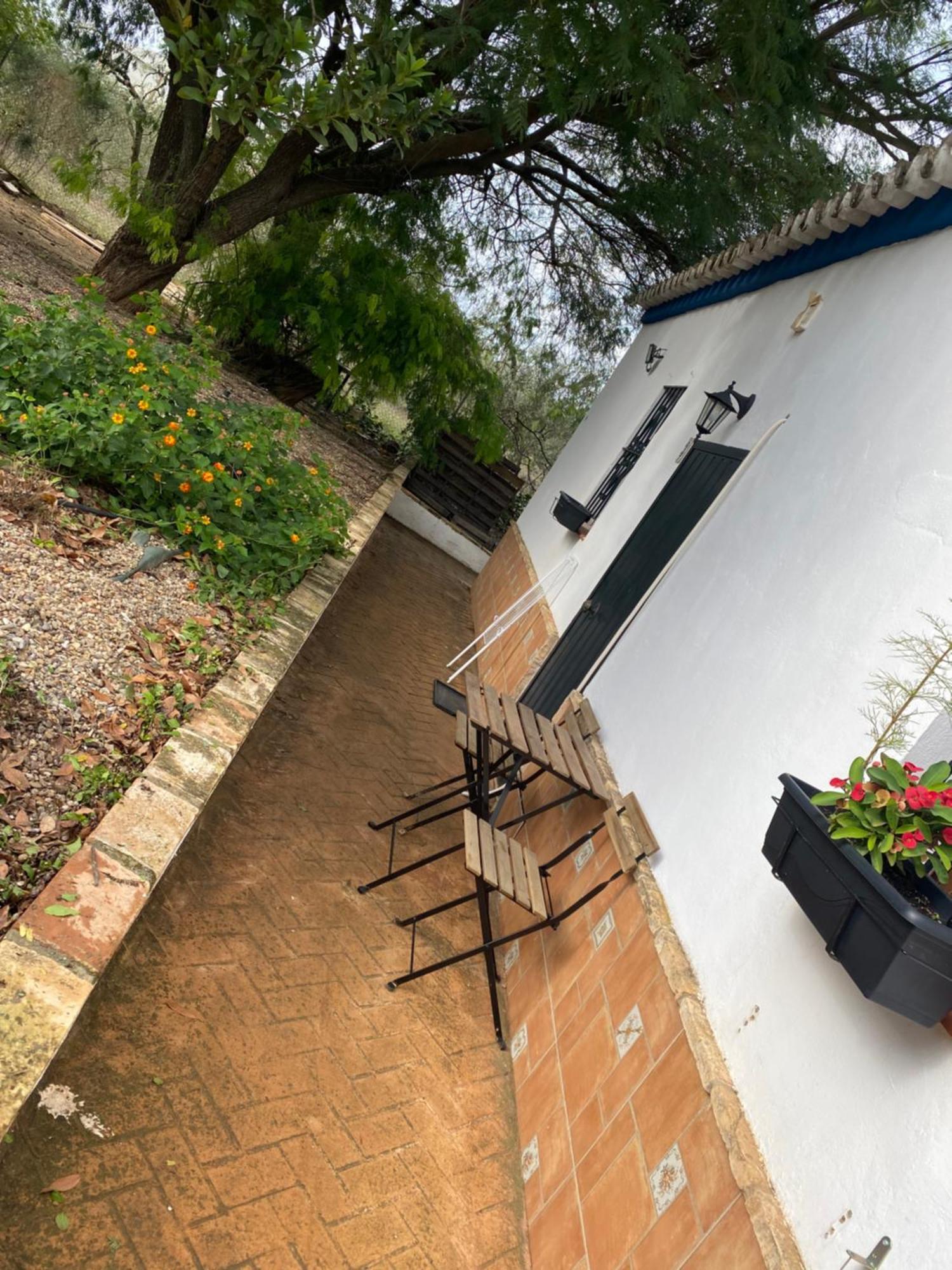 Casa Los Laureles Pilas Dış mekan fotoğraf