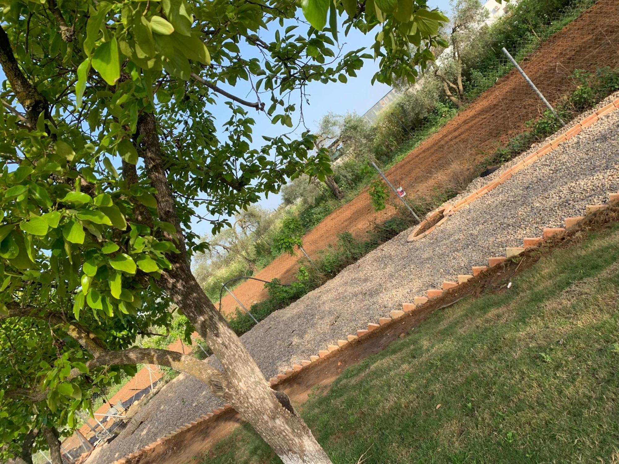 Casa Los Laureles Pilas Dış mekan fotoğraf