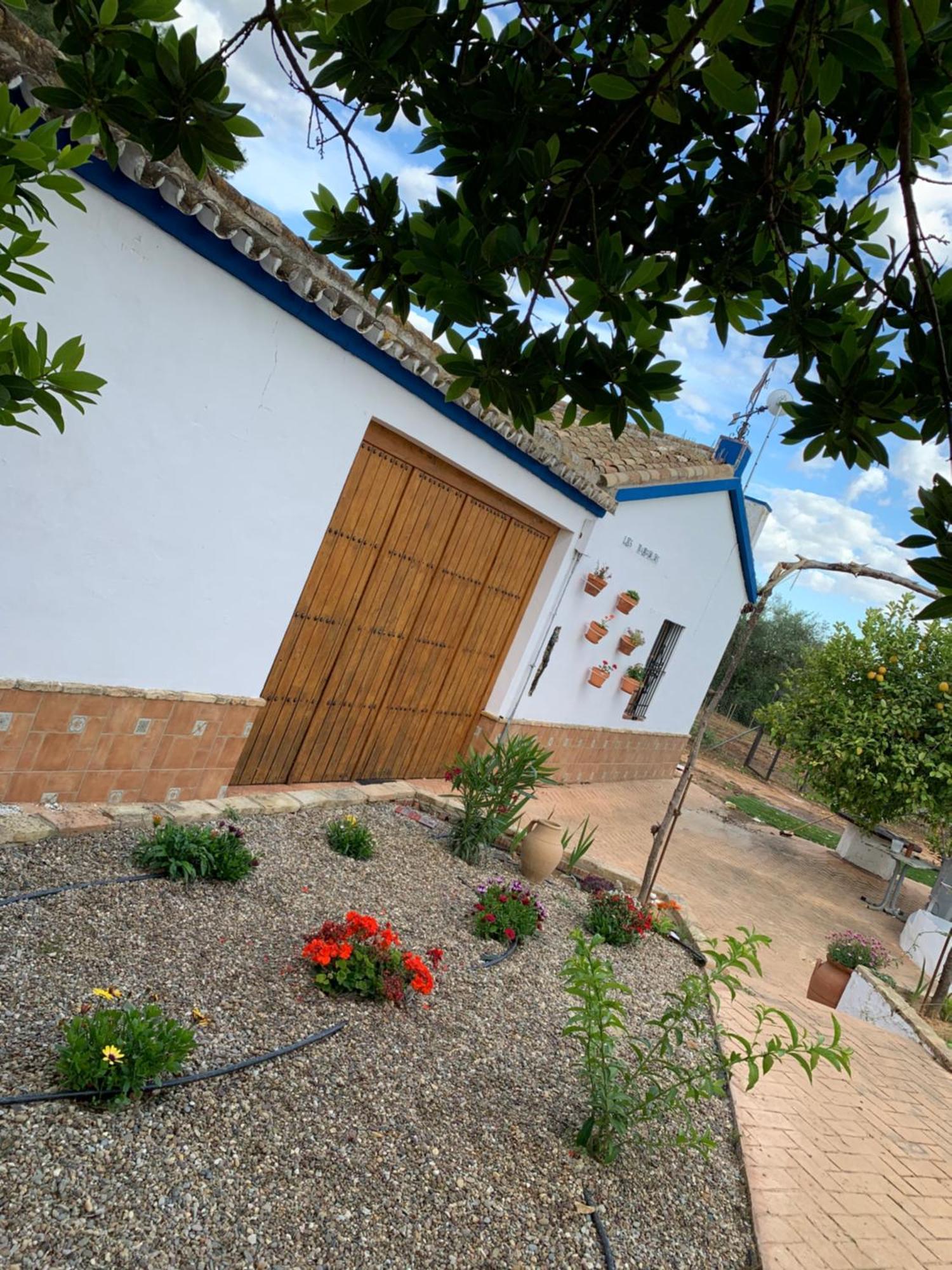 Casa Los Laureles Pilas Dış mekan fotoğraf