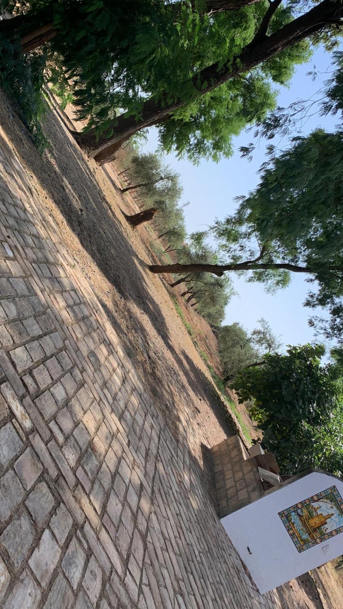 Casa Los Laureles Pilas Dış mekan fotoğraf