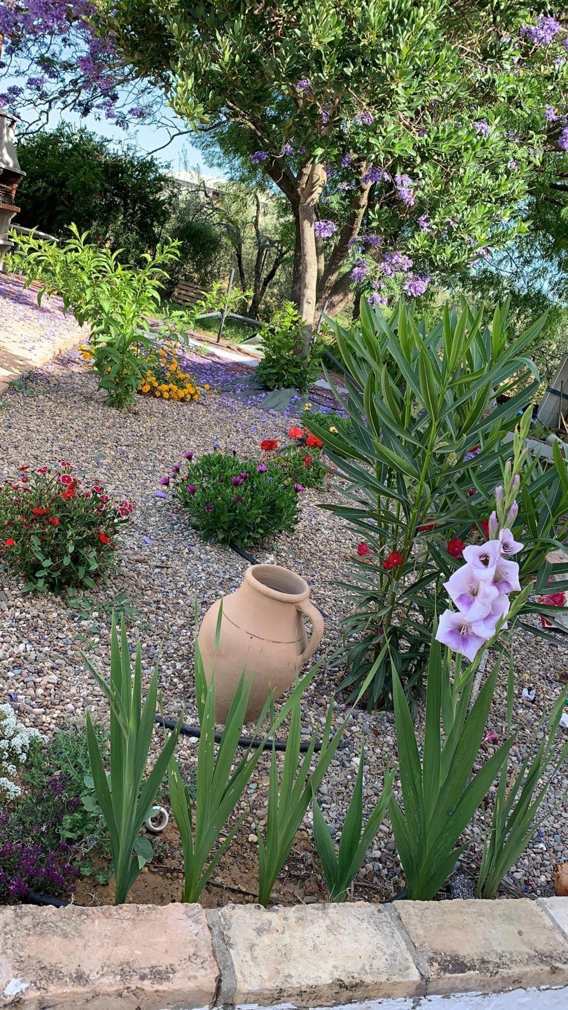 Casa Los Laureles Pilas Dış mekan fotoğraf