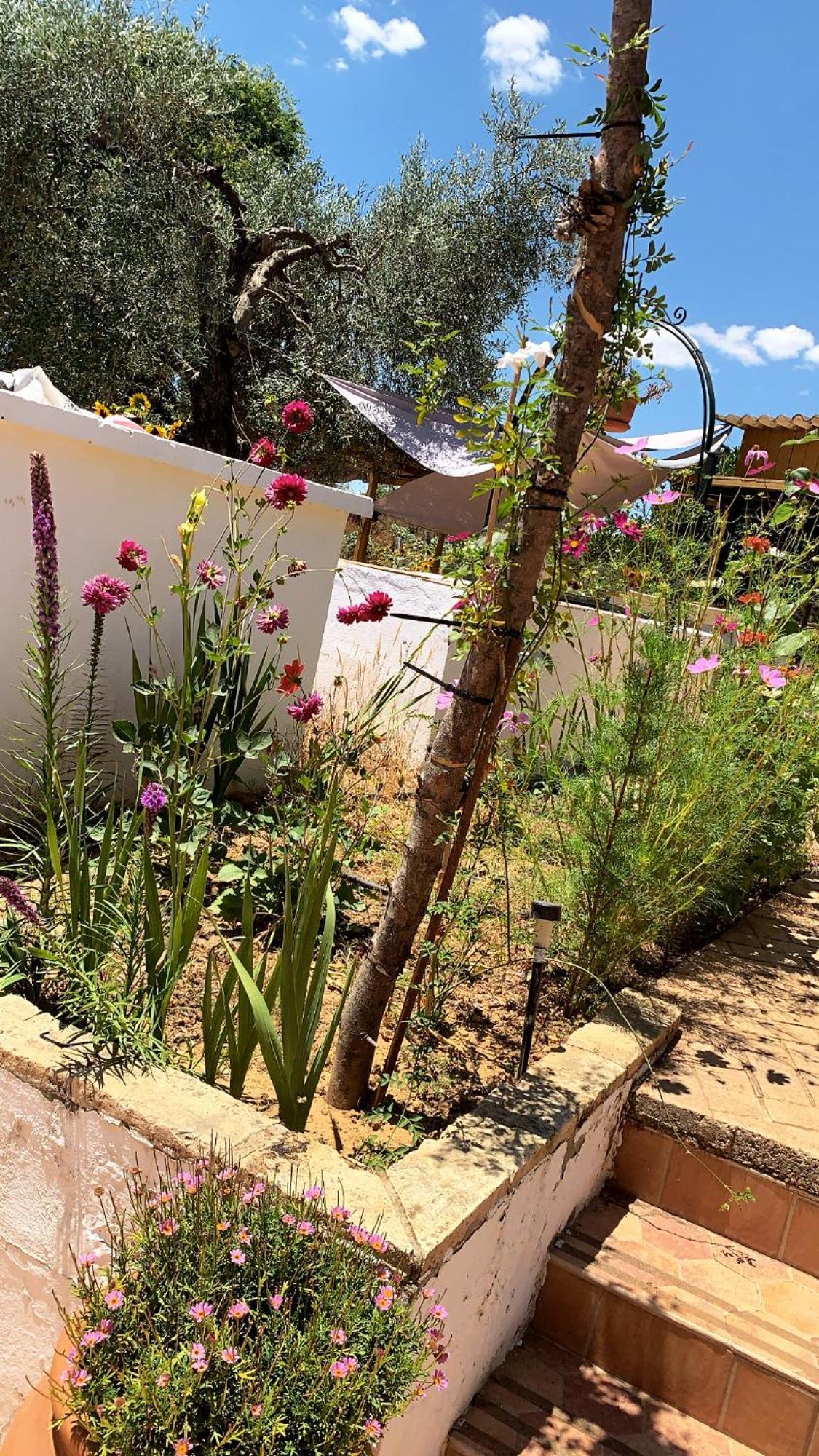 Casa Los Laureles Pilas Dış mekan fotoğraf
