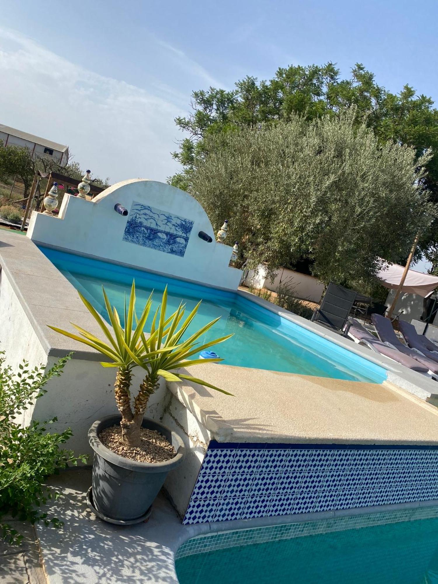 Casa Los Laureles Pilas Dış mekan fotoğraf
